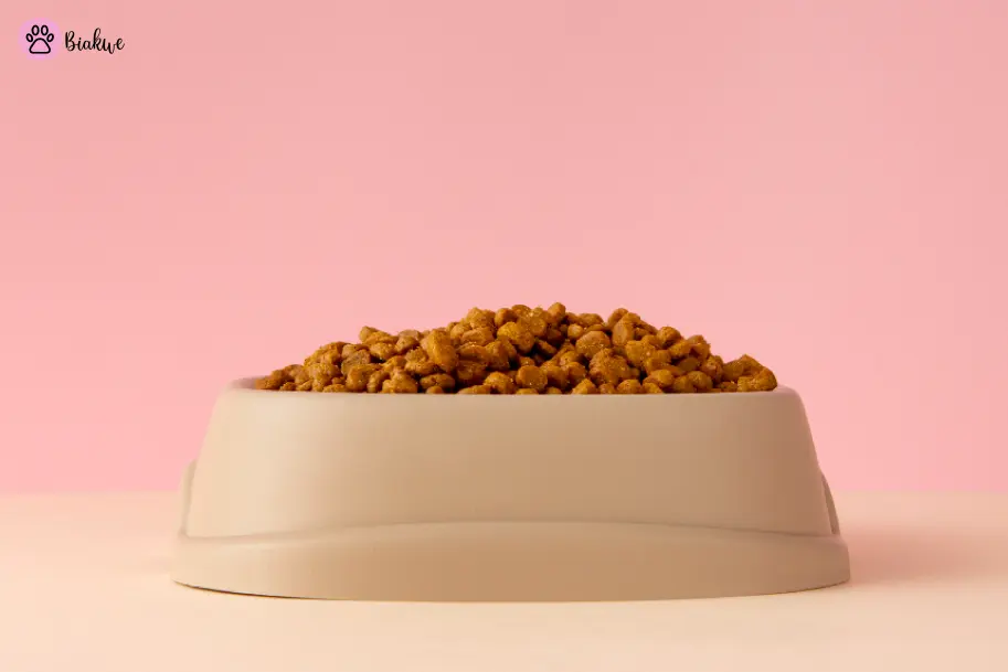Best-Cat-Food-Brands-for-Indoor-Cats-in-2025
