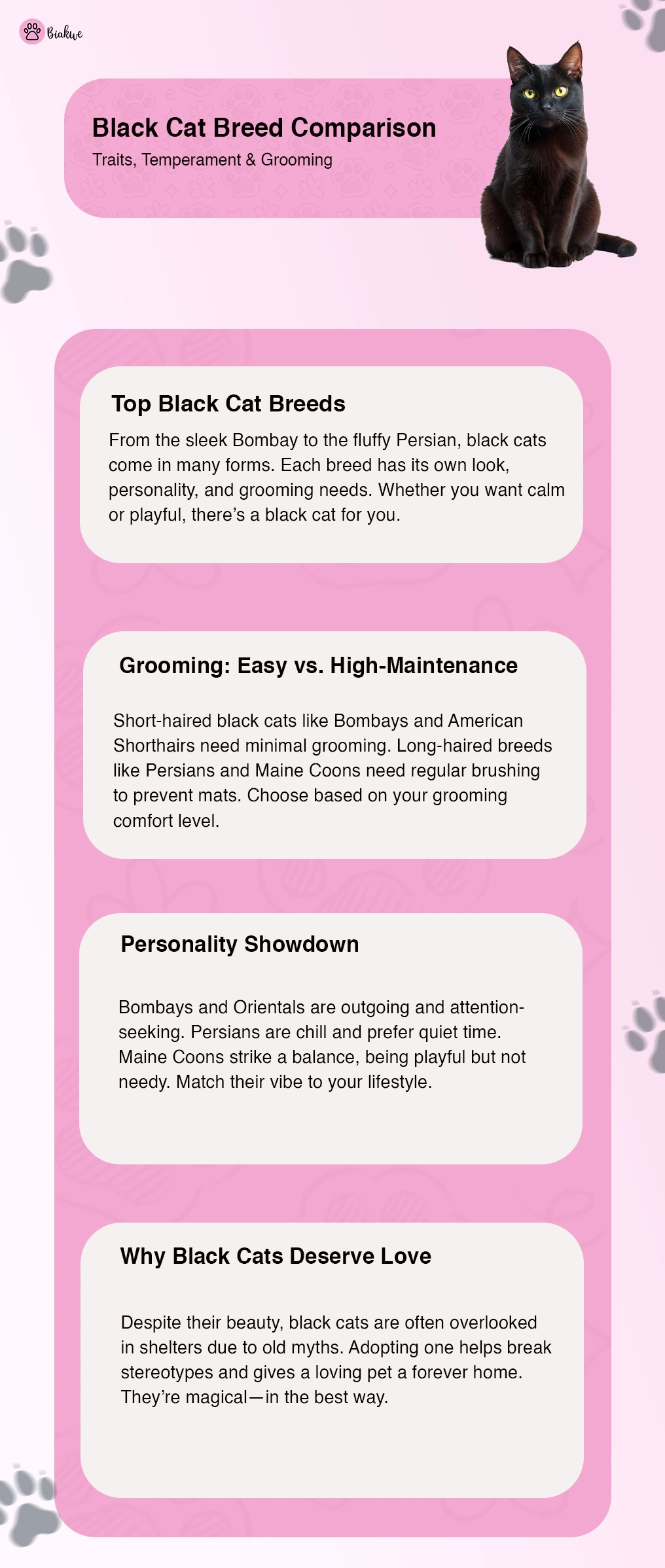 Black Cat Breeds