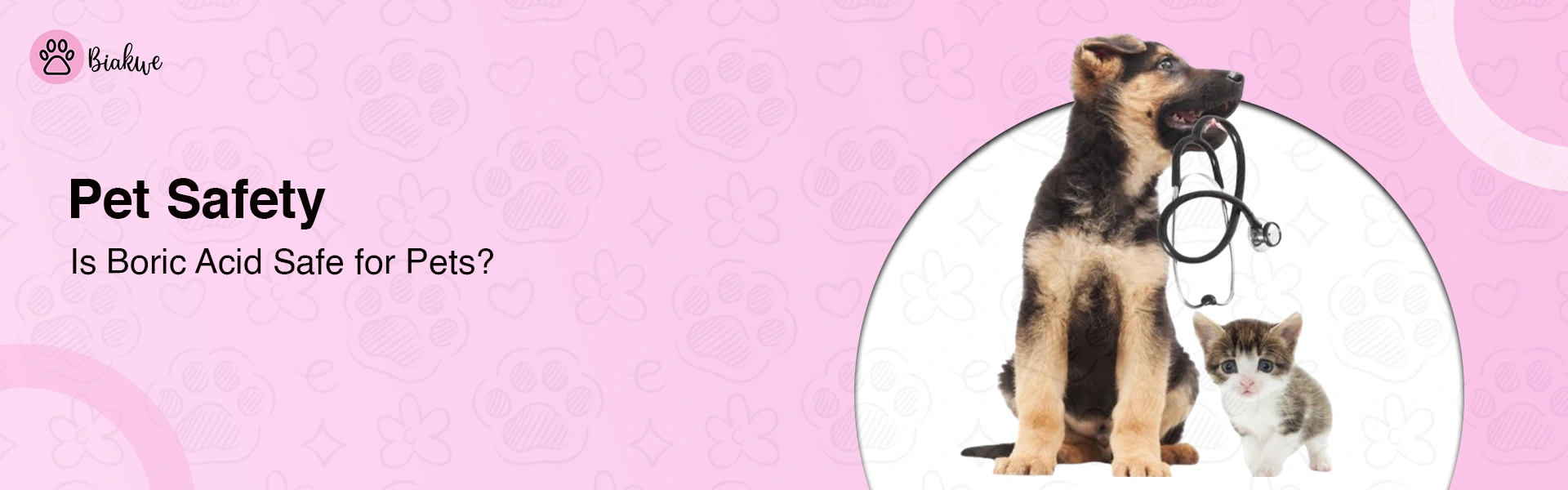 Boric Acid and Pets What Every Owner Should Know