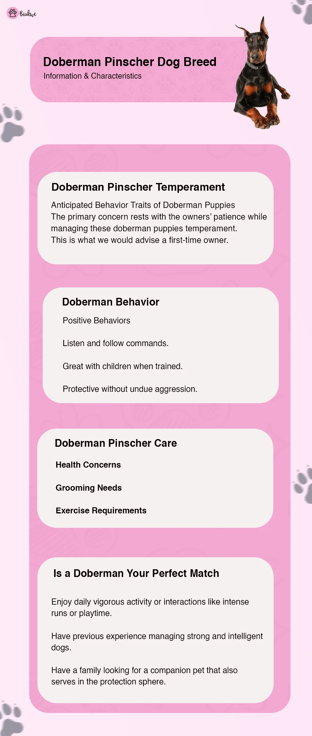Doberman Pinscher Dog Breed Information