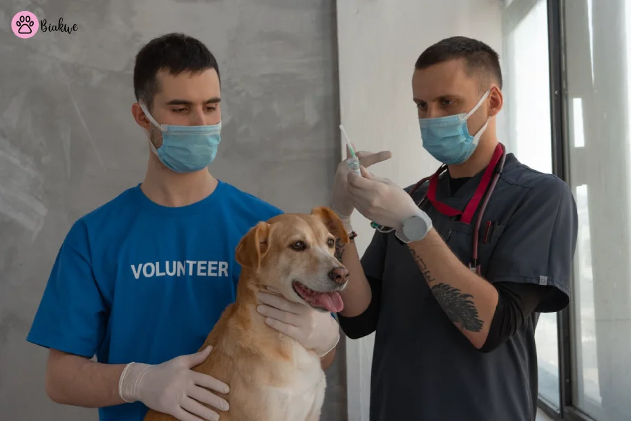 Dog-Vaccination-Schedule-3(1)