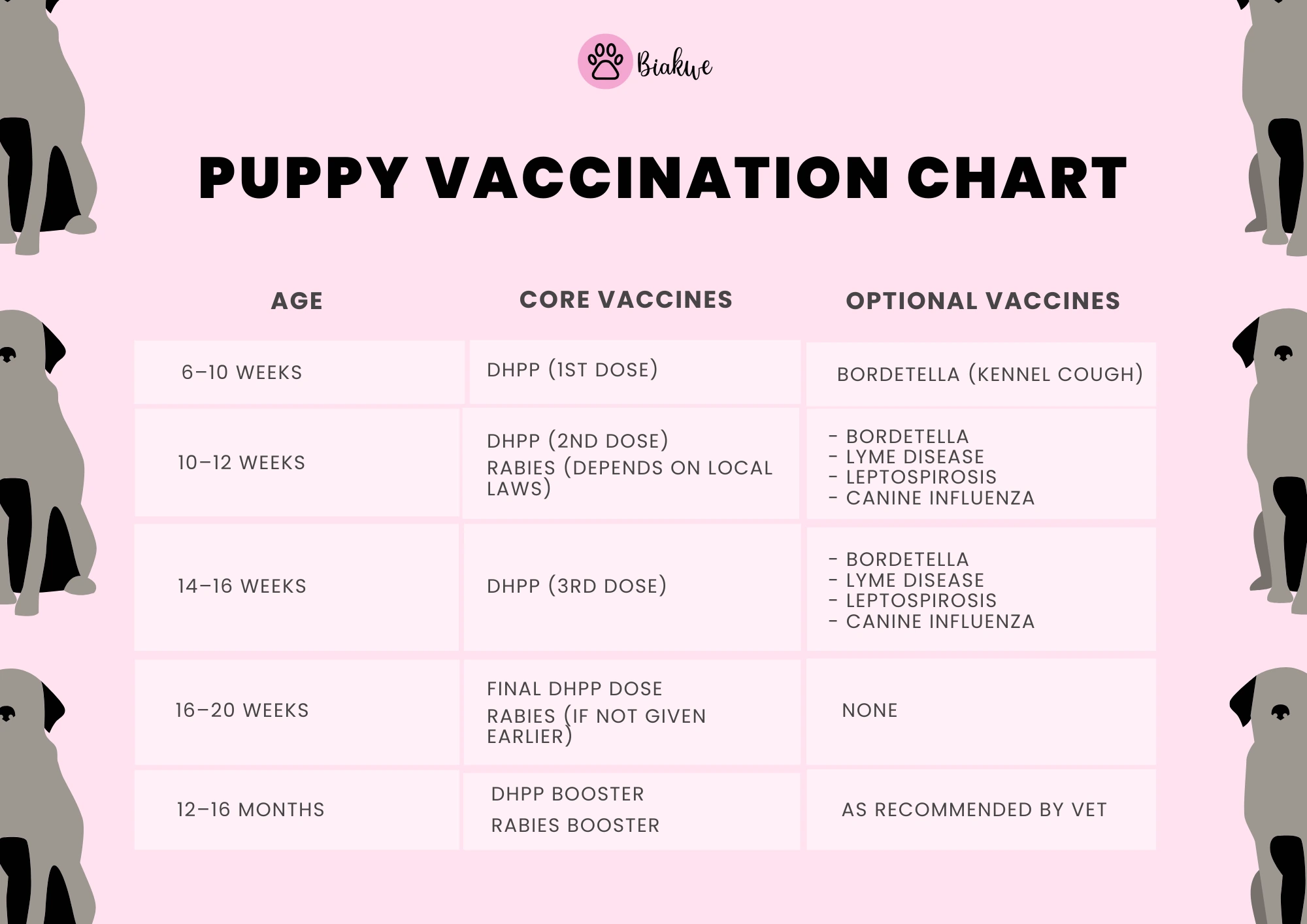 Dog Vaccination Schedule