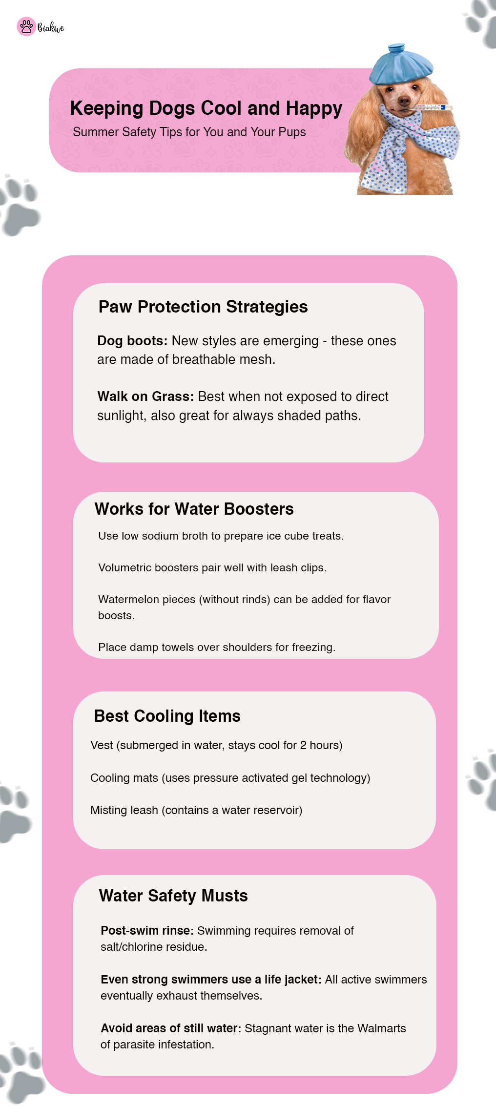 The 5-Second Pavement Test: Protecting Paws