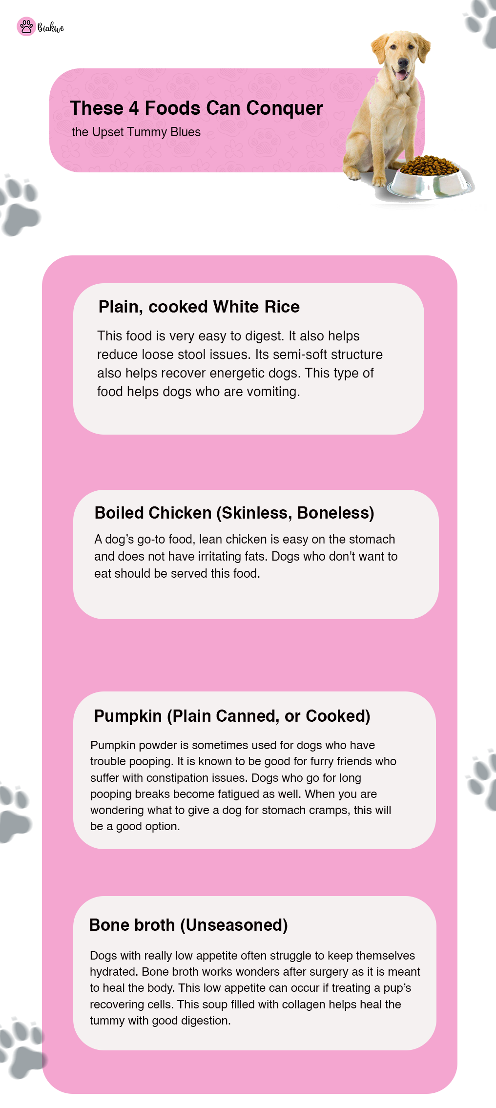 Best Sensitive Stomach Dog Food