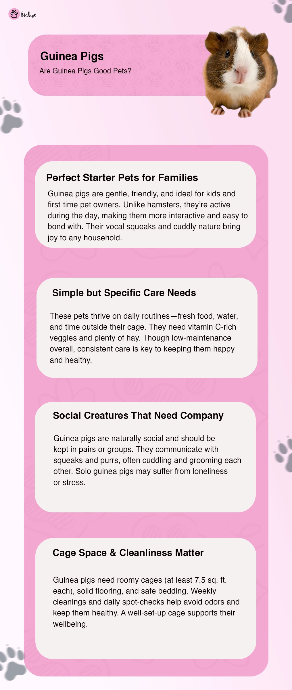 Info Guinea Pigs as Pets Pros and Cons