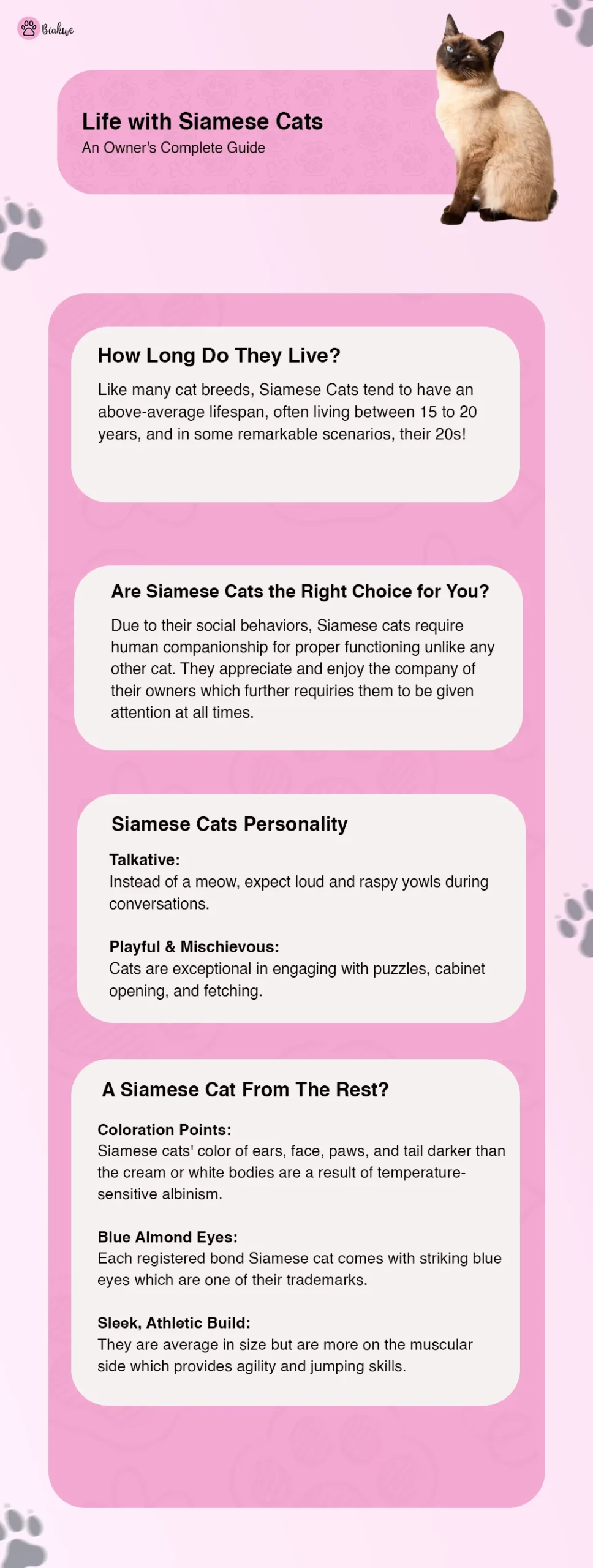 Life with Siamese Cats: An Owner's Guide