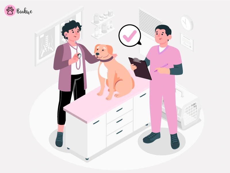 VACCINATION-GUIDE-ILLUSTRTAION