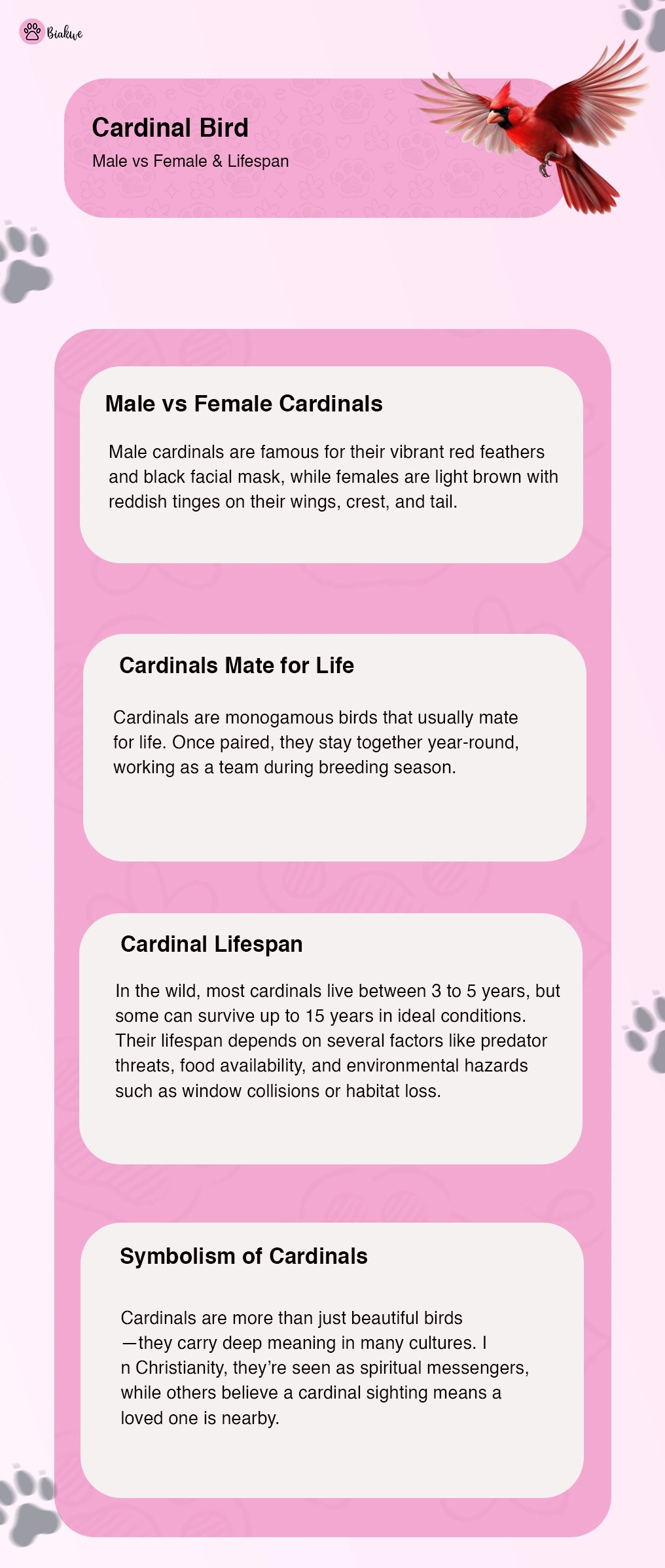 Cardinal Bird Guide Male vs Female Differences