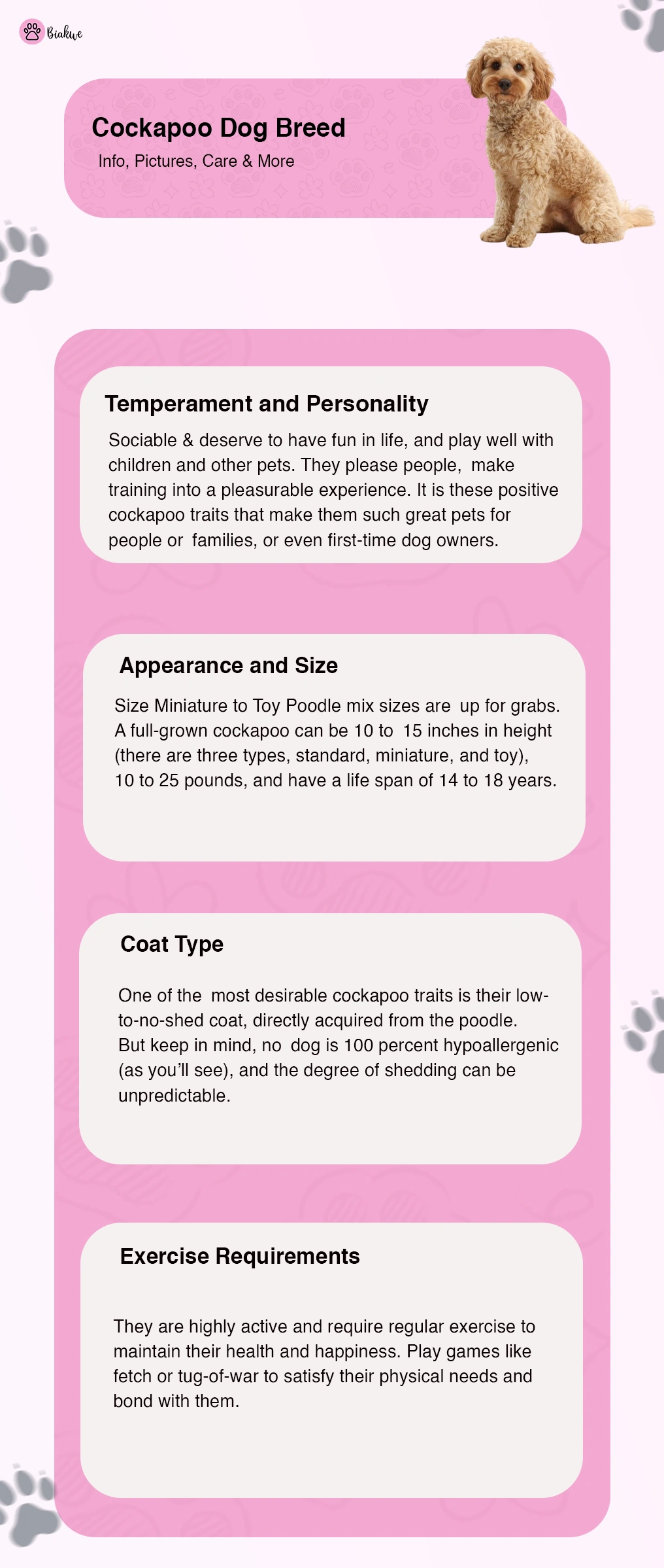 Cockapoo Dog Breed Temperament and Care