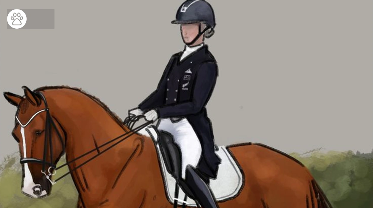 Dressage Art of Equestrian Movement
