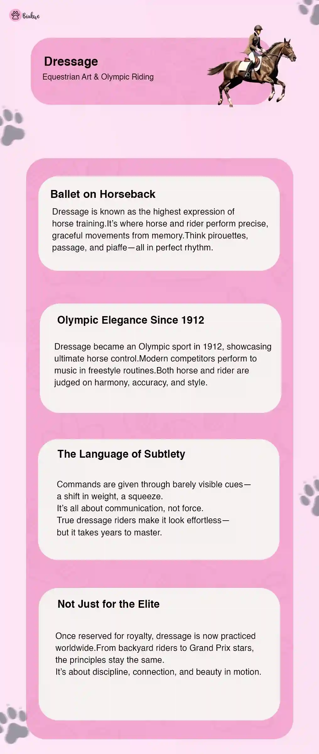 Dressage The Art of Equestrian Movement and Olympic Riding
