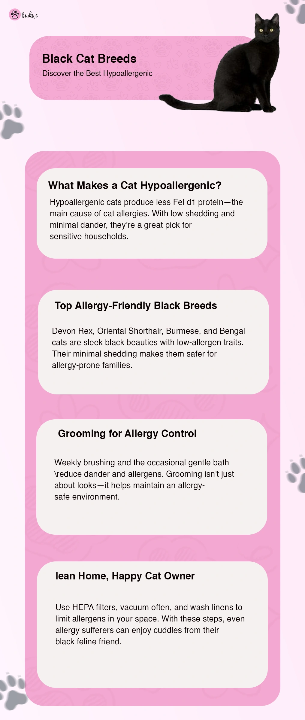 Hypoallergenic Black Cat Breeds