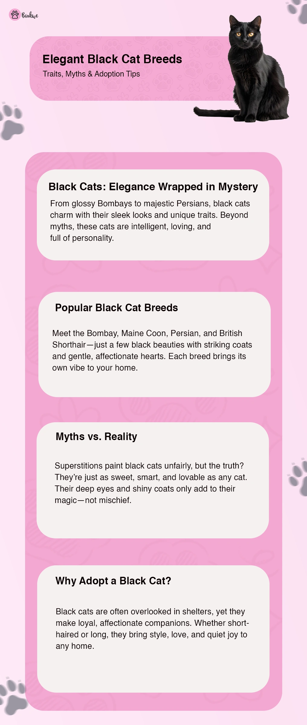 Top Black Cat Breeds