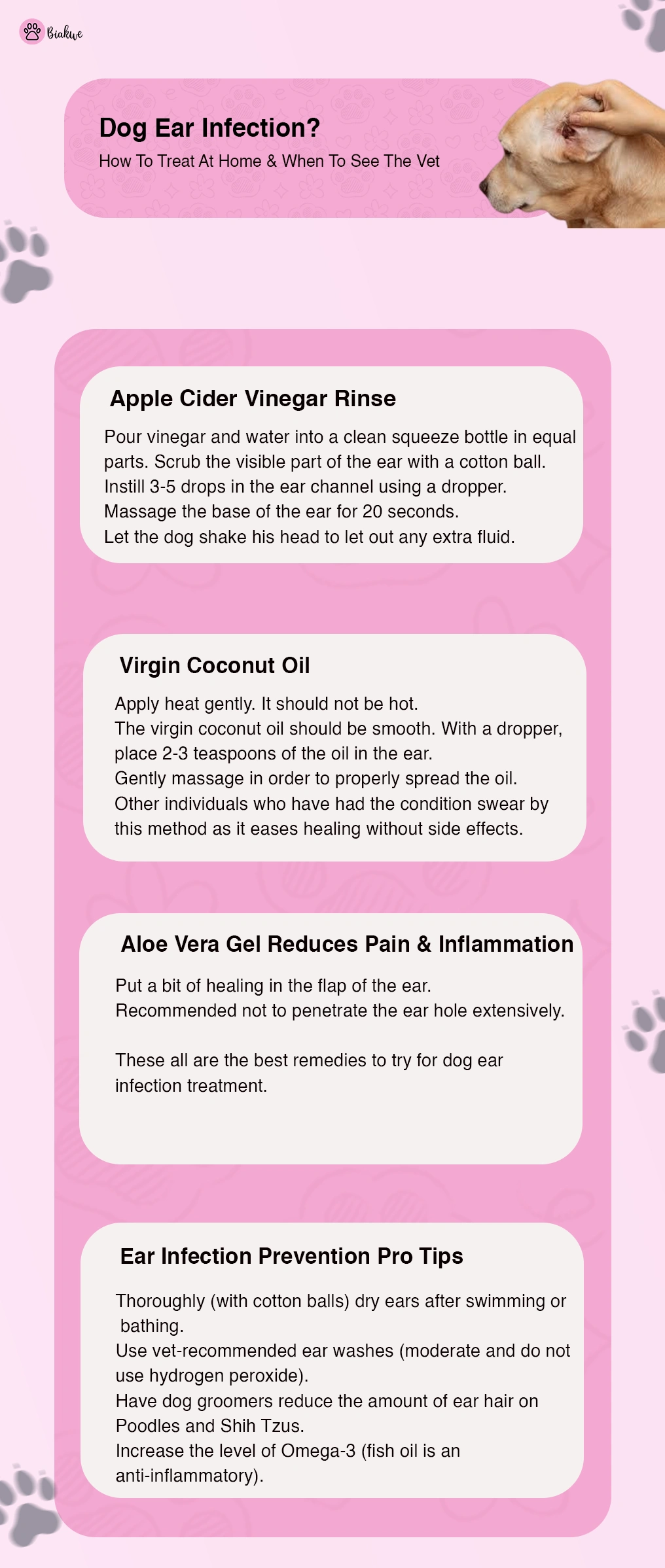 Dog Ear Infection Treatment At Home Remedies & Care Tips