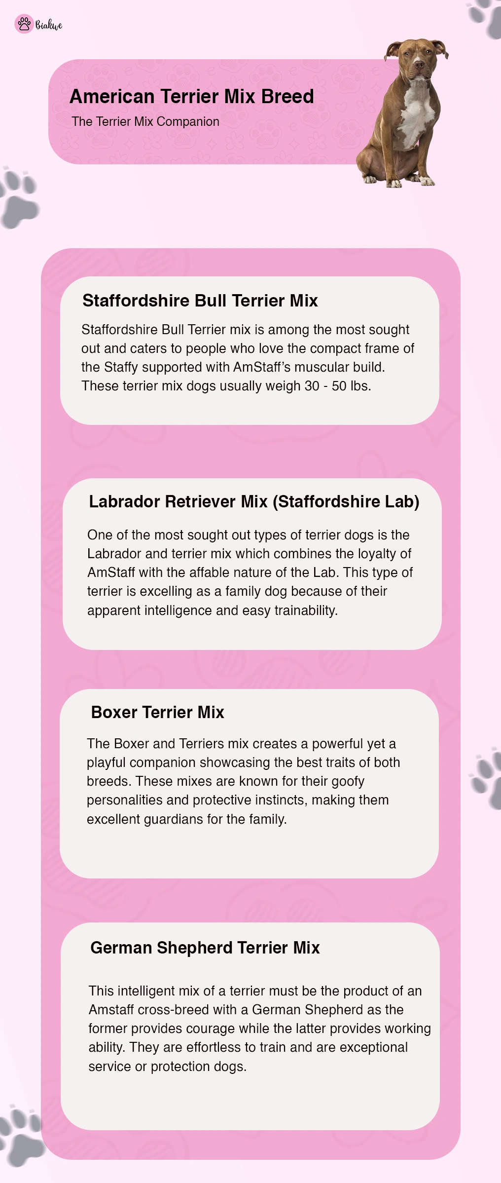 Terrier Mix Traits