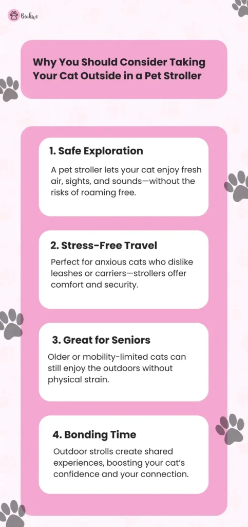 cat stroller