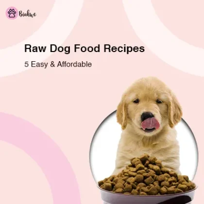 cheap raw dog food