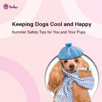 Summer Doggy