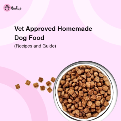vet approved homemade dog food recipes