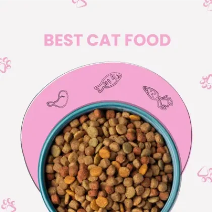 Best-Cat-Food-Brands-for-Indoor-Cats-in-2025 (1)