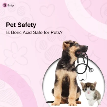 Boric Acid