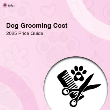 Dog Grooming Cost Guide What to Expect for Pet Grooming Prices