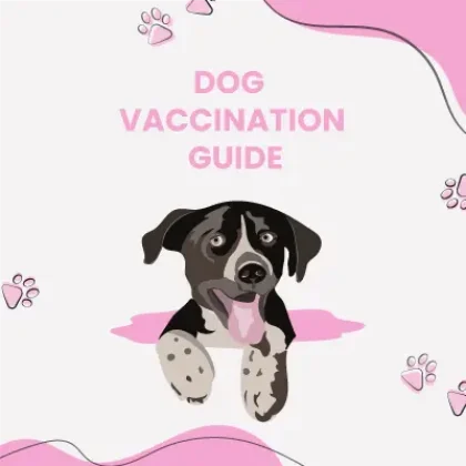 Dog-Vaccination-Schedule-What-Every-Owner-Should-Know