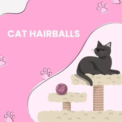 HOw-do-cat-develop-hair-balls