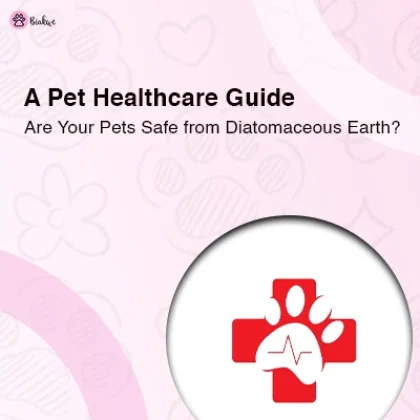 Is Diatomaceous Earth Safe for Pets Full Detailed Guide