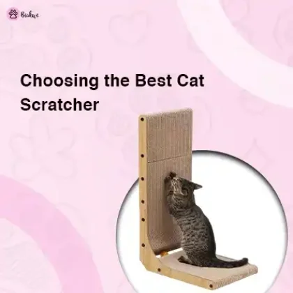 cat scratcher