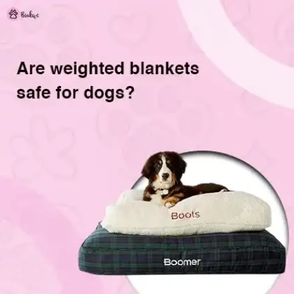 weighted blanket dog